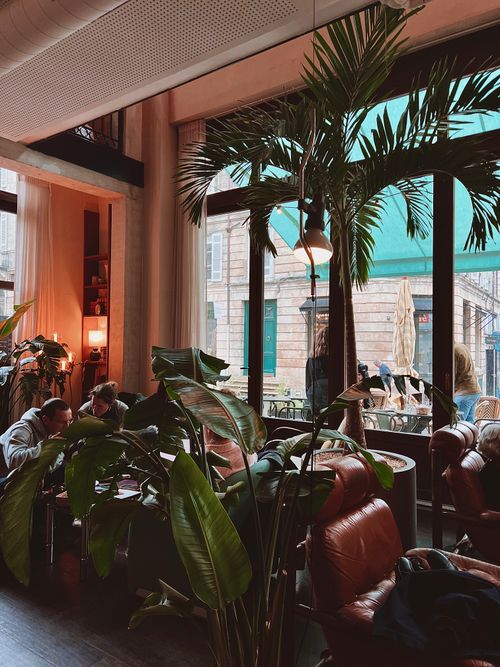 Free Stylish urban cafe with lush greenery and natural light through large windows, perfect for a relaxing time. Stock Photo