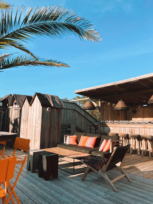 Free Sunlit outdoor beach bar with palm trees, wooden seating, and colorful cushions. Stock Photo