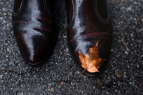 A pair of brown leather shoes with a leaf on the ground