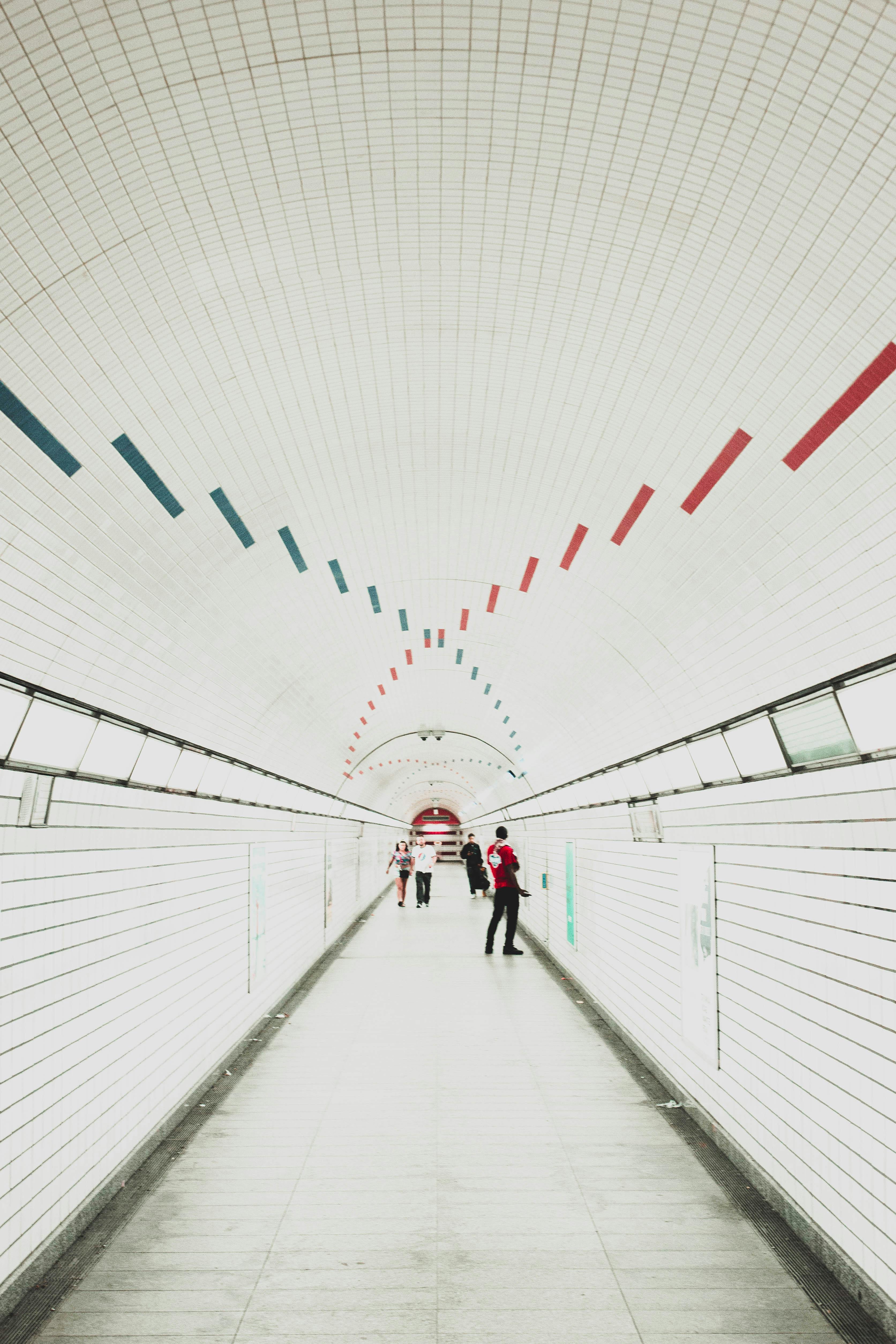 Kostenloses Foto zum Thema: architektur, architekturdesign, decke