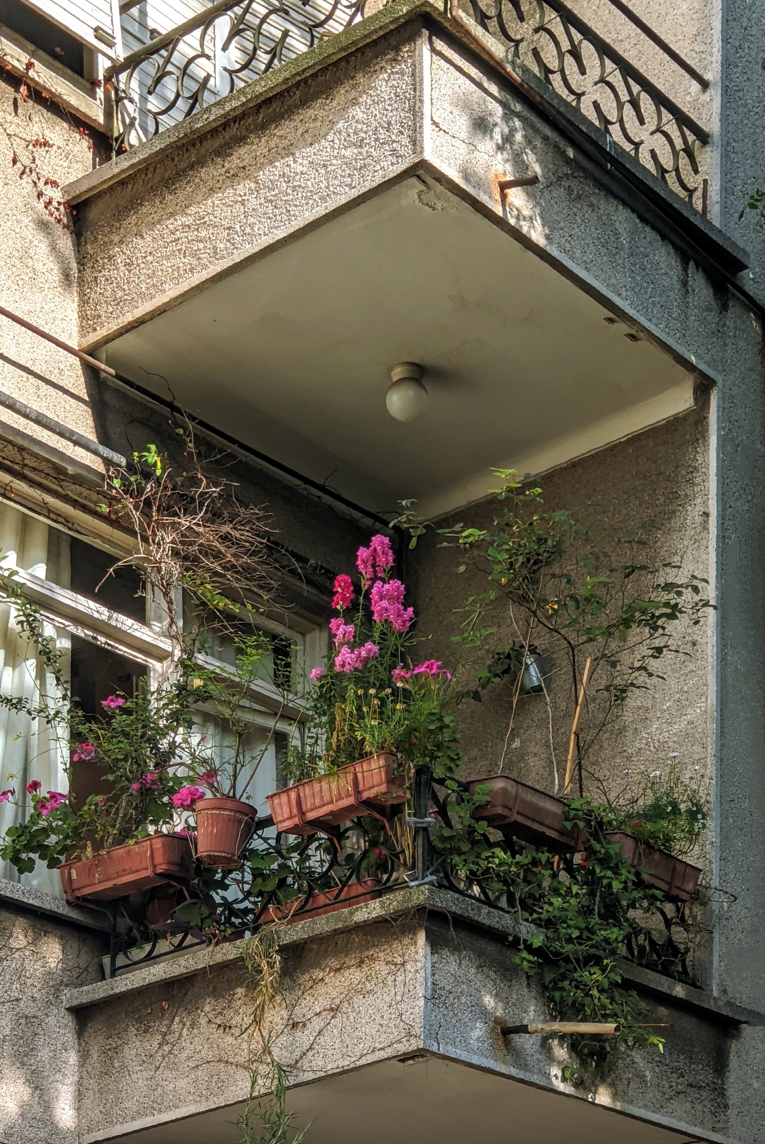 Free A city balcony adorned with vibrant pink flowers in pots, highlighting urban greenery. Stock Photo