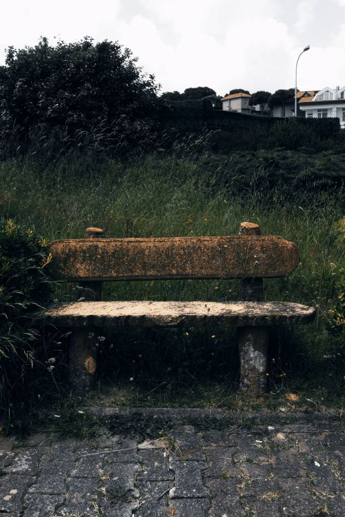 Free A rustic, weathered bench sits amidst tall grass in a quiet village area, creating a peaceful summer scene. Stock Photo