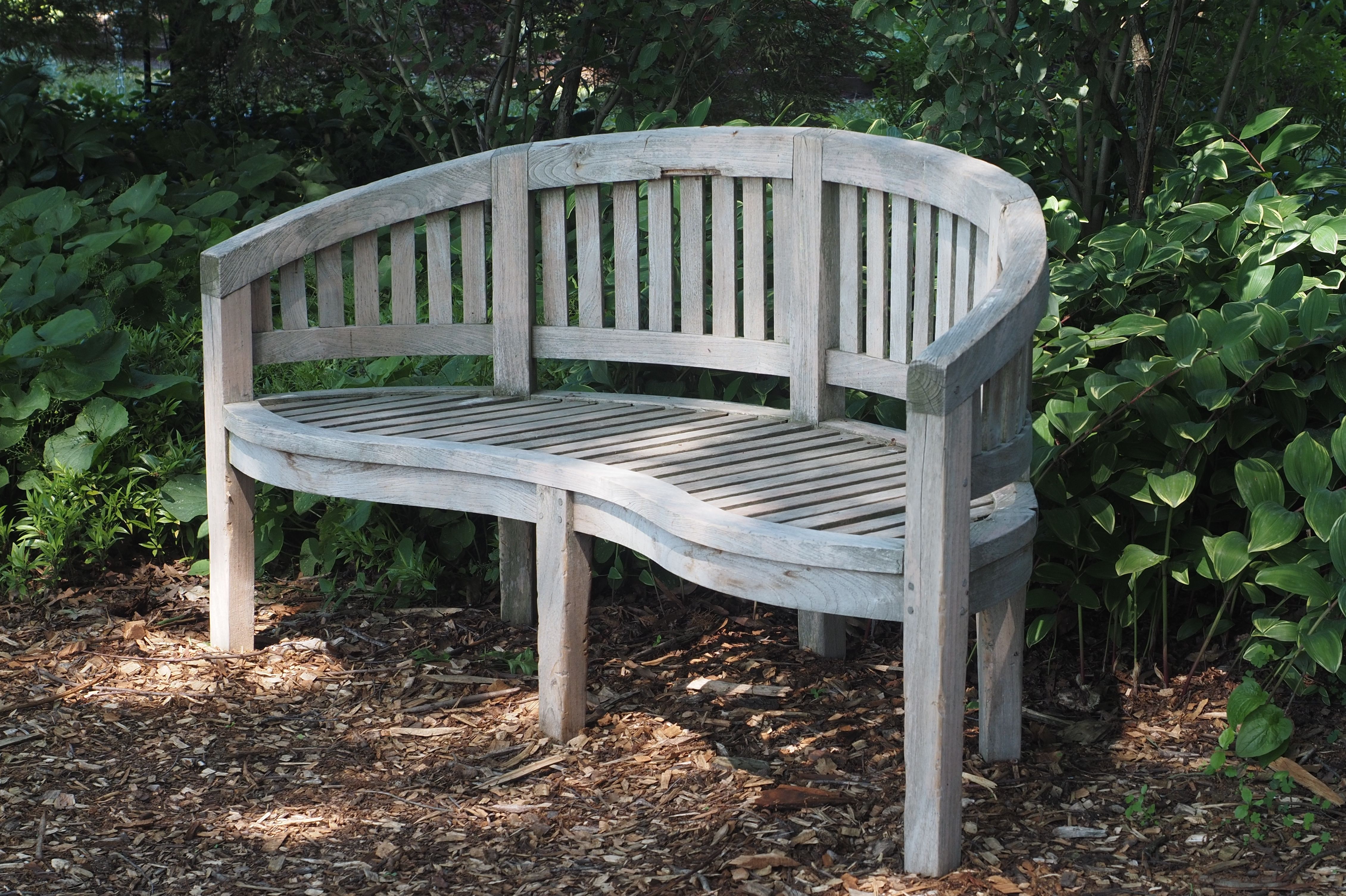 Wooden Bench in a Forest · Free Stock Photo
