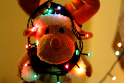 Free Close-up of Illuminated Christmas Tree Stock Photo