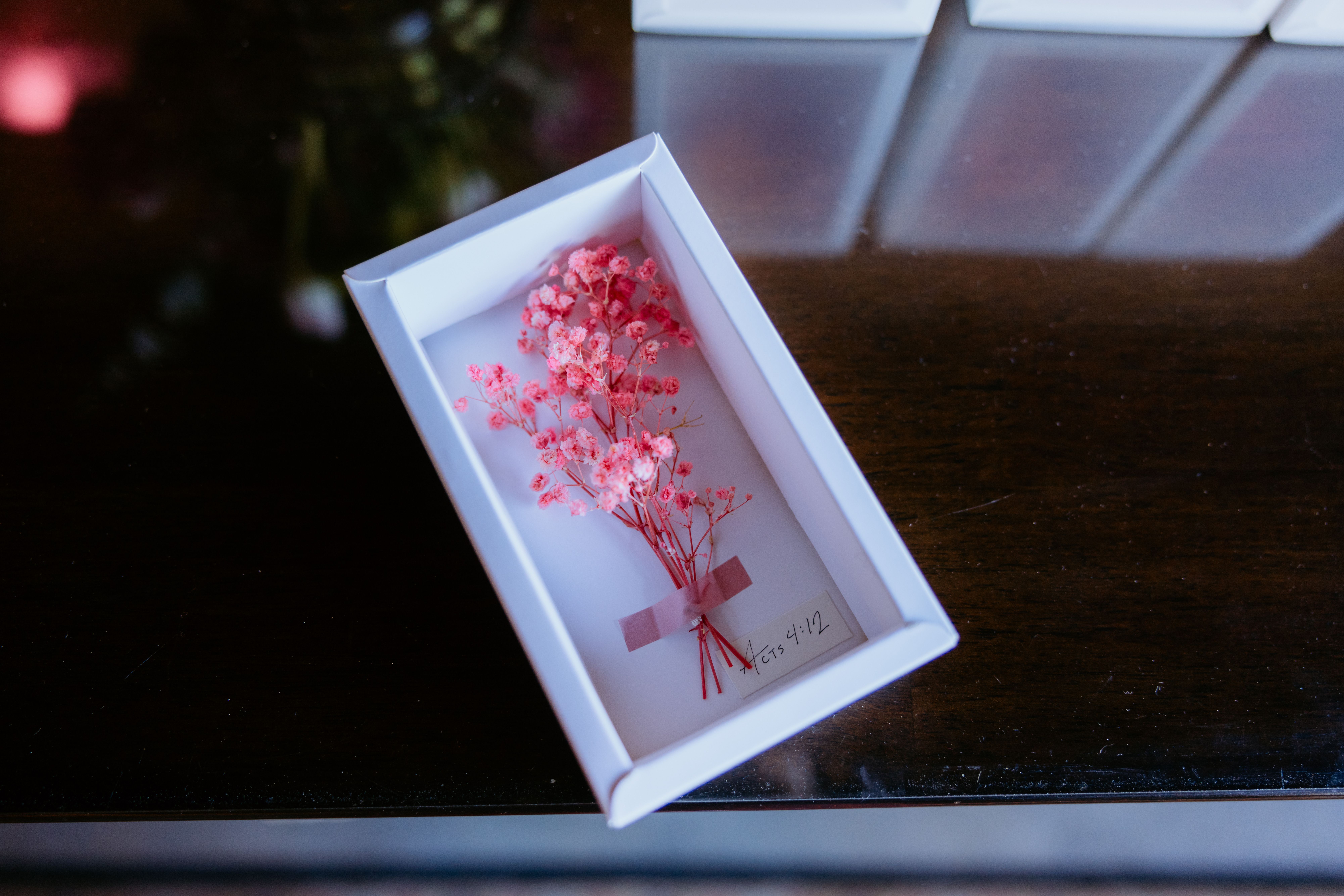 Pink Flowers in White Box · Free Stock Photo
