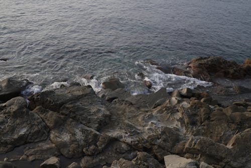 Foto profissional grátis de água, beira-mar, farol