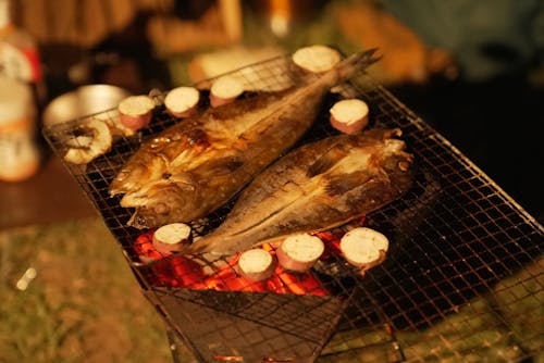 fish in japan