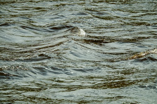 A person is riding a surfboard in the water