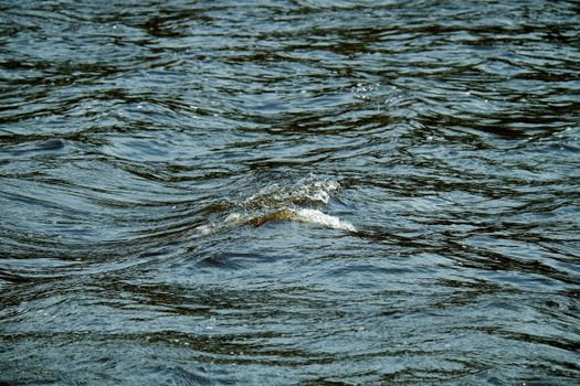 Close-up of tranquil water ripples creating a serene and soothing vibe.