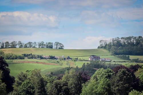 A farm is surrounded by trees and green grass