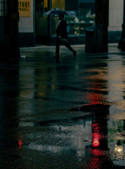 50mm, 검은 우산, 반사의 무료 스톡 사진