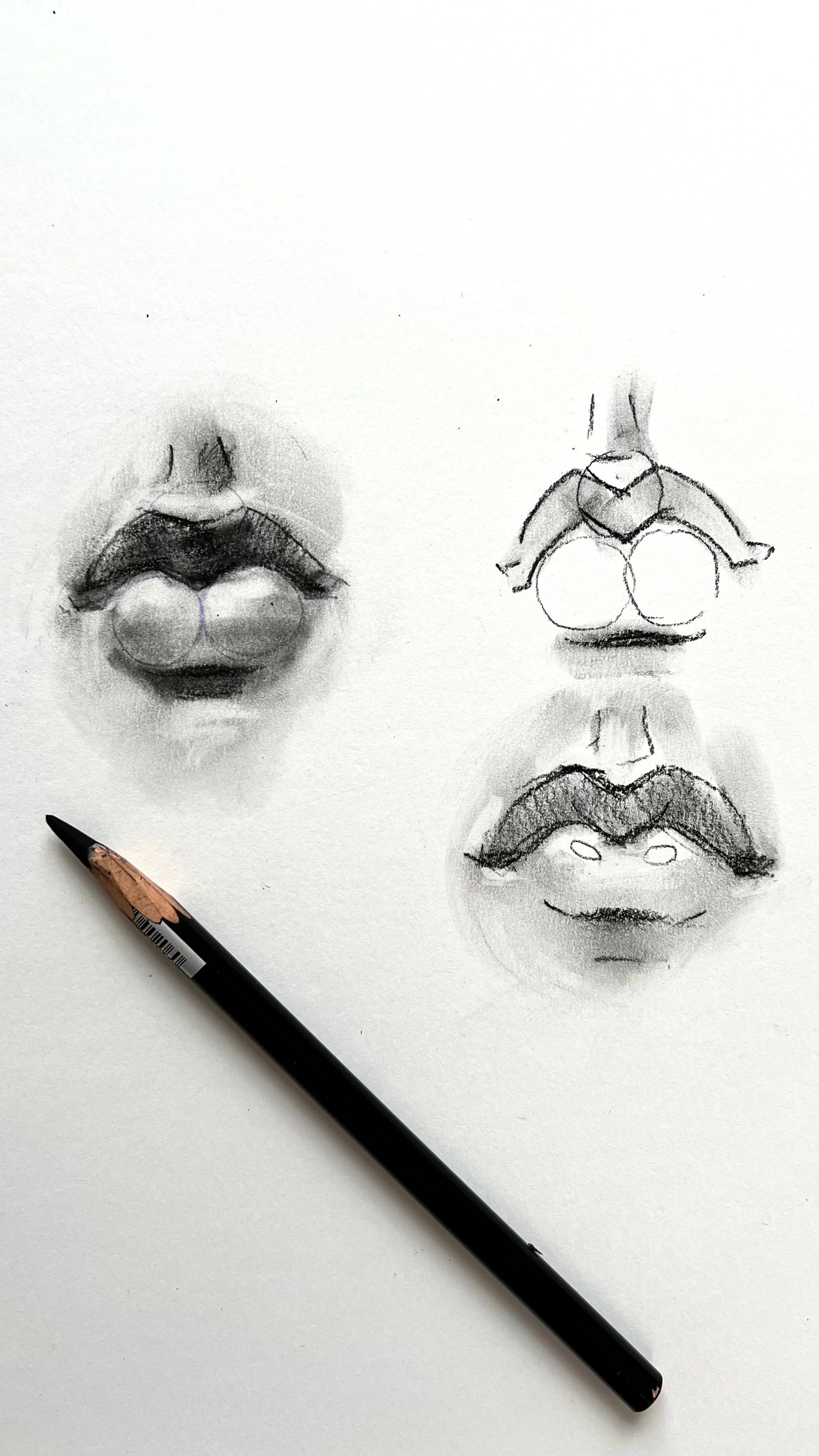 Detailed pencil sketches of various lip perspectives on white paper.