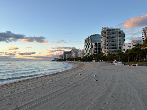 A beach with buildings and sand at sunset