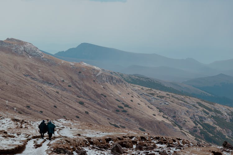 Winter Wonderland: Snowshoeing on Mountain Trails  thumbnail