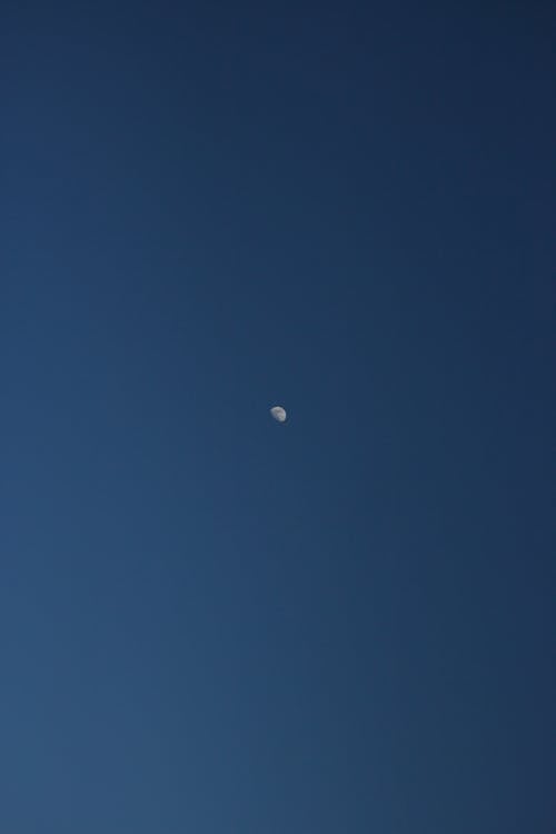 A small moon is seen in the blue sky