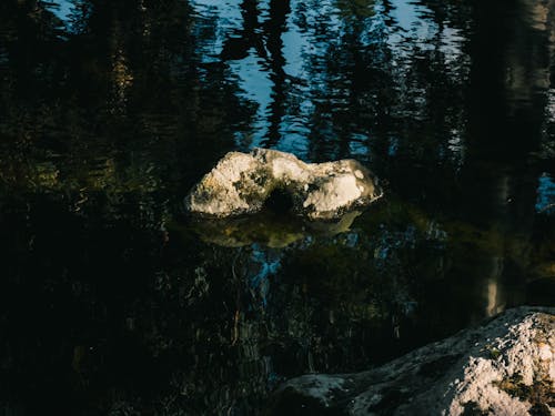 Free stock photo of rock, water