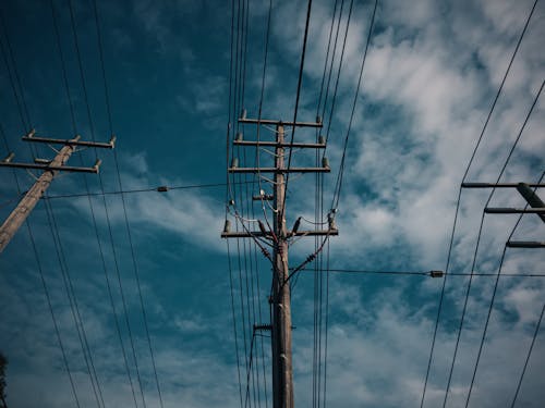 Free stock photo of power lines