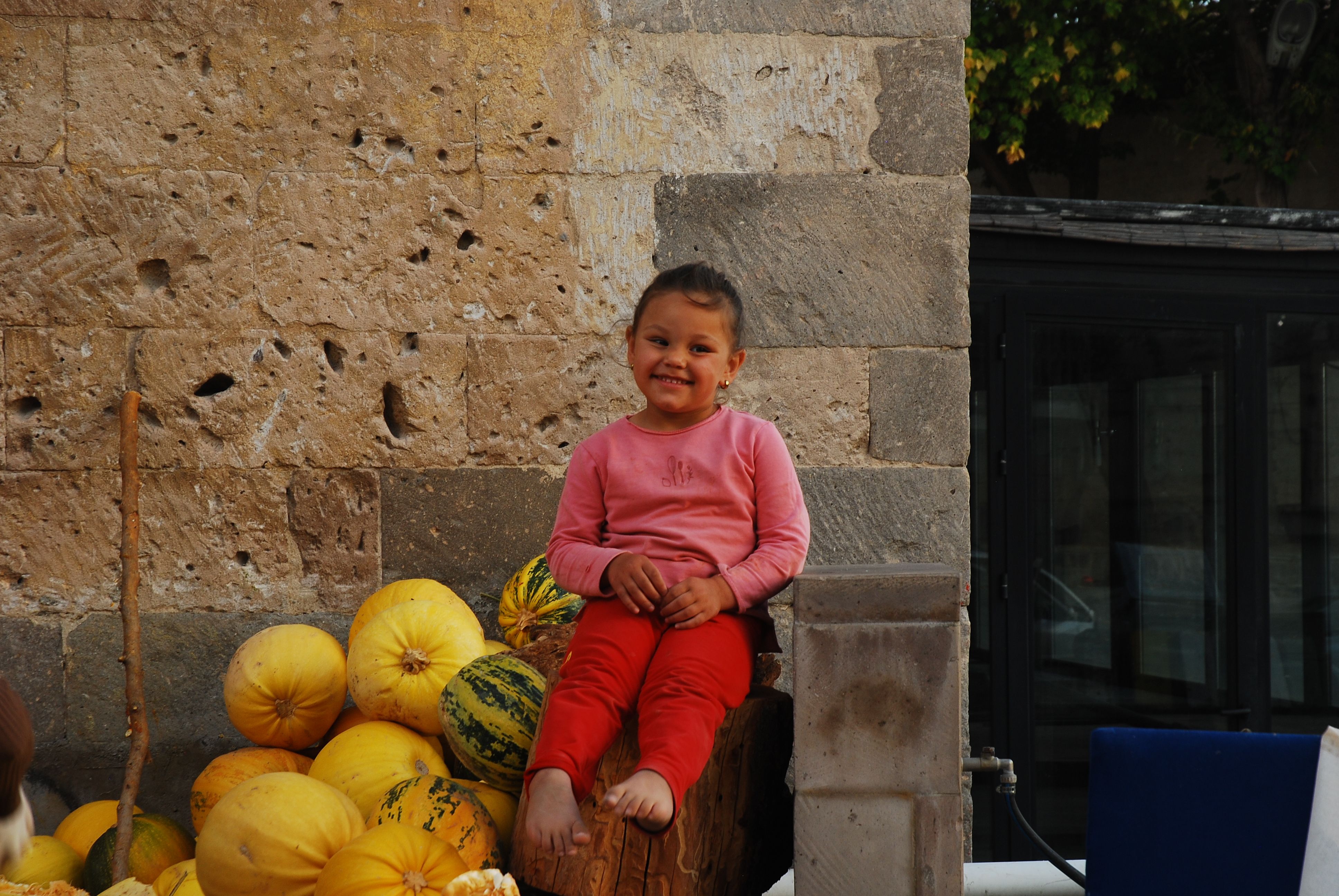 Smiling Girl Sitting over Pumpkins · Free Stock Photo
