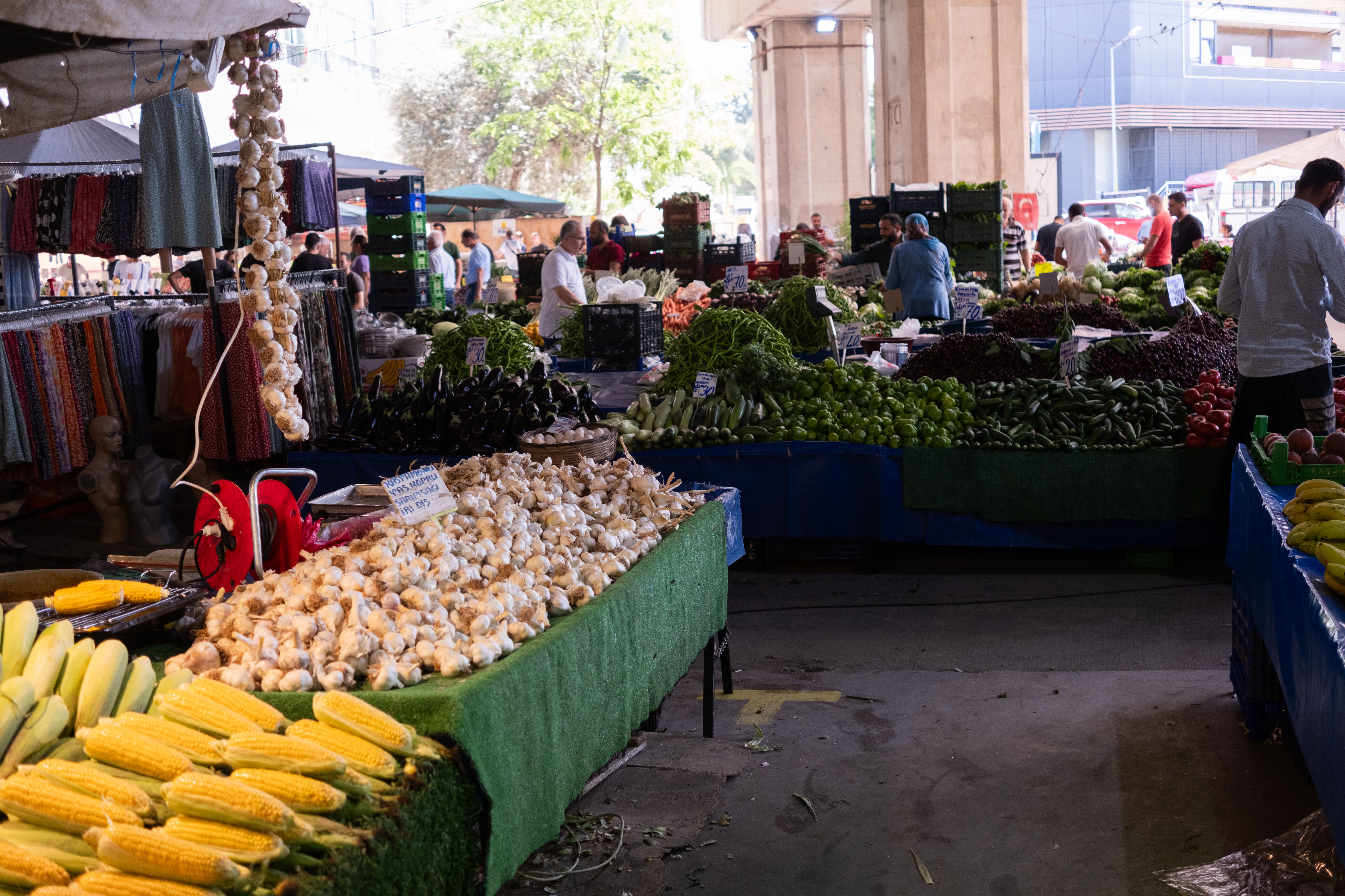 eastern produce council