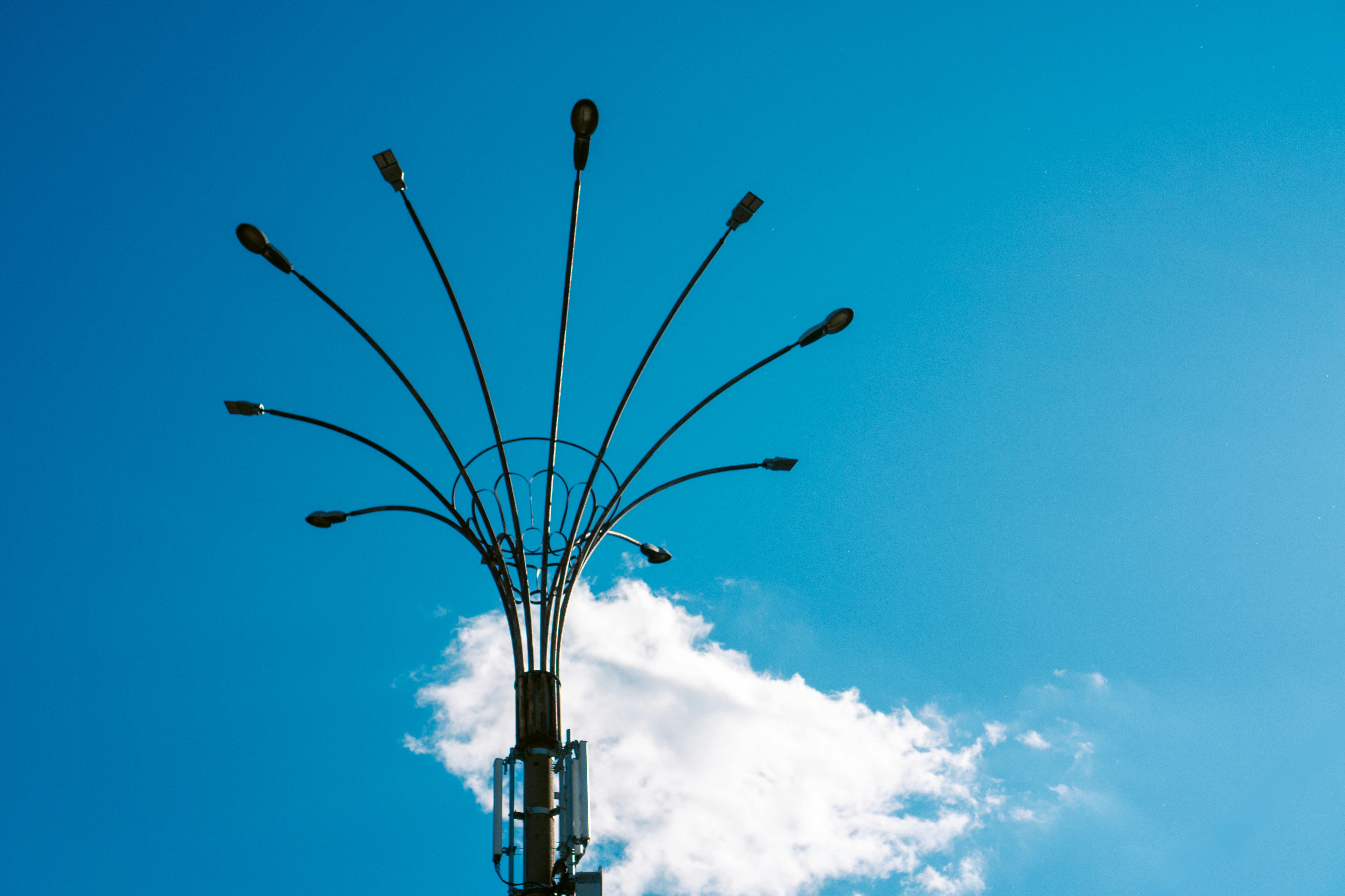 Deploying vLLM Semantic Router on AMD Developer Cloud — Photo by Ivan Vi on Pexels