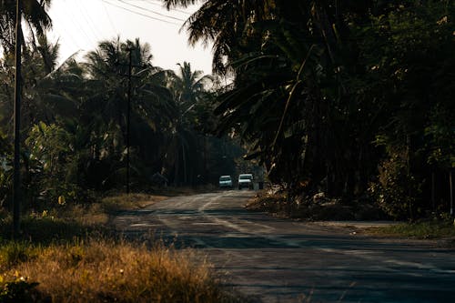 Základová fotografie zdarma na téma auto, barva, cestování