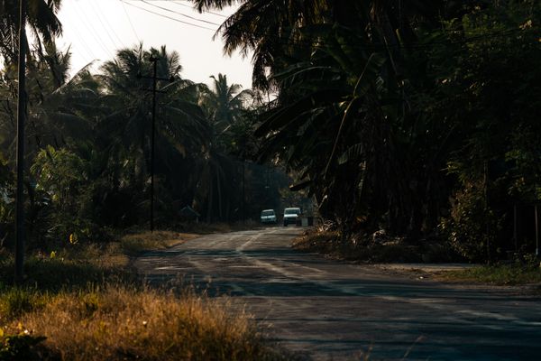 Transfer / Travel in Port Blair