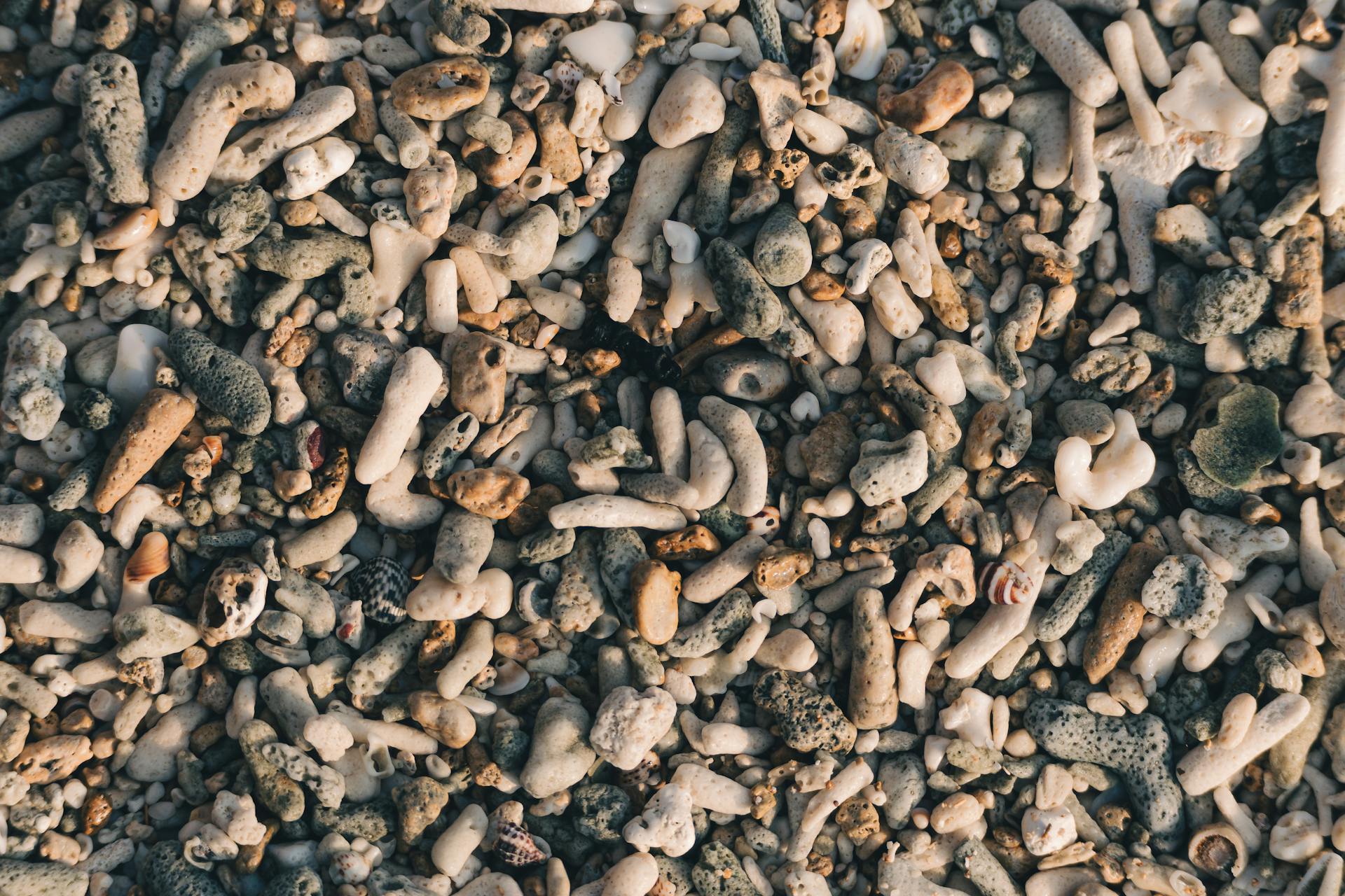 Detailed view of coral fragments and pebbles at a beach in Port Blair, India.