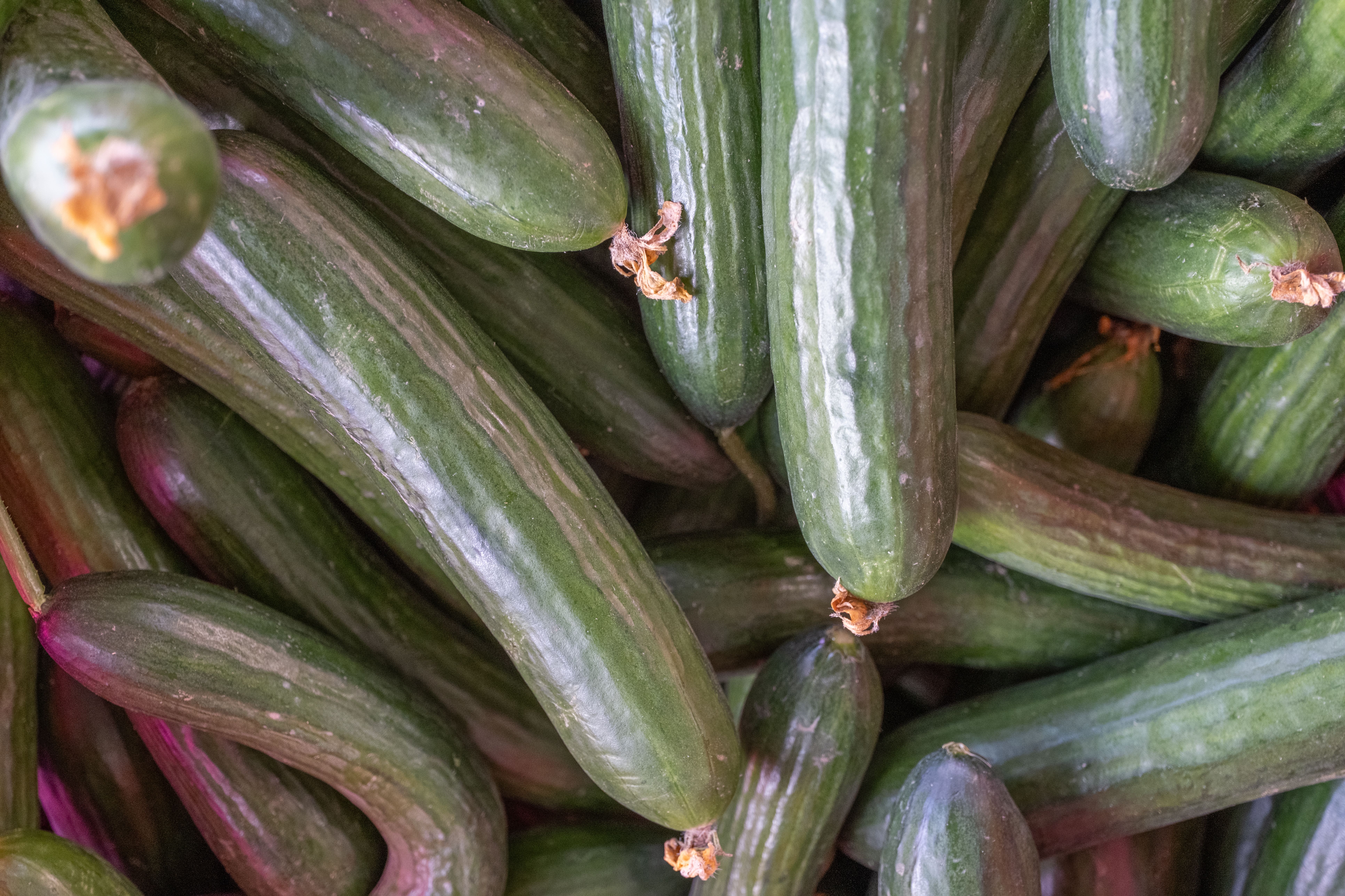 A close up of a bunch of cucumbers