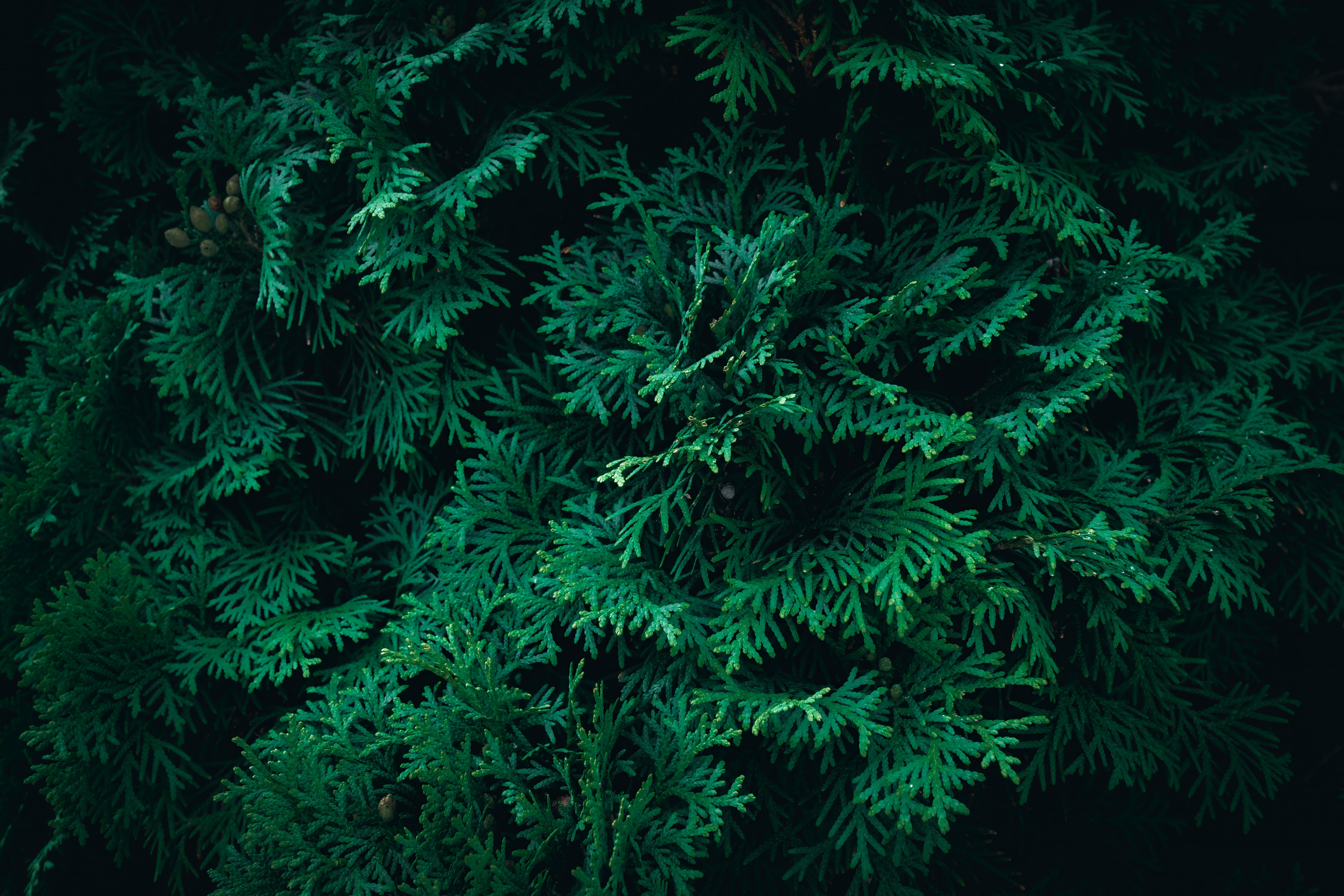 Evergreen Nephrology Posts Strong CMS Savings While Doubling Down on Patient Education and Physician Ties - TipRanks — Photo 
