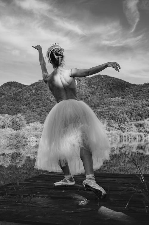 Foto profissional grátis de bailarina, balé, cisne