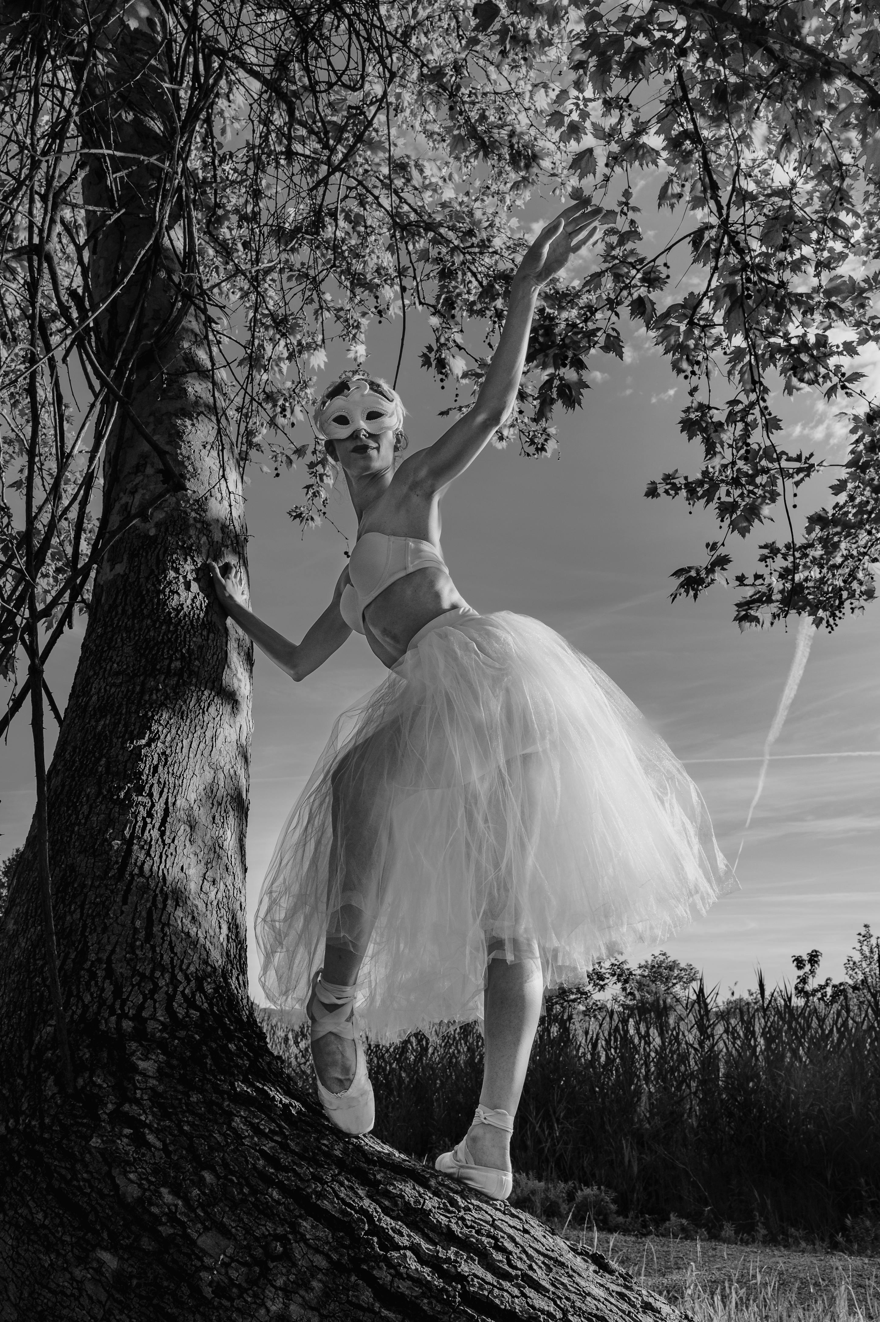 Ücretsiz @dış mekan, ağaç, artistik içeren Ücretsiz stok fotoğraf Stok Fotoğraflar