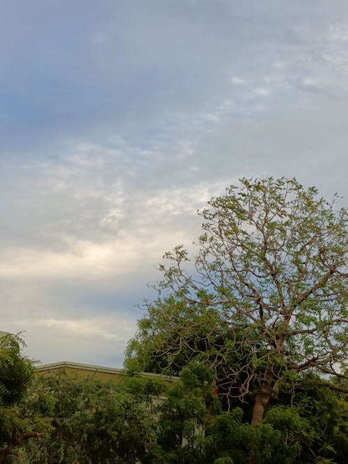 Fotos de stock gratuitas de naturaleza, puesta de sol