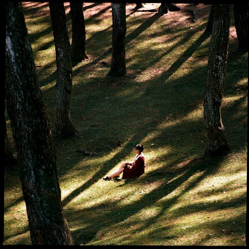 A woman sitting on the grass in the middle of a forest