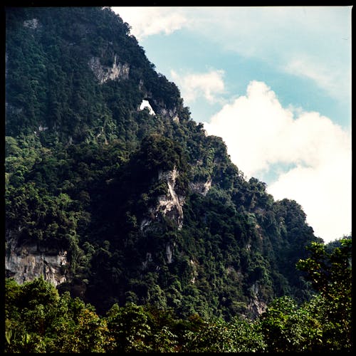 Бесплатное стоковое фото с водопад, гора, дерево