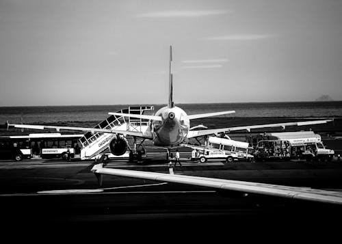 Бесплатное стоковое фото с bnw, Аэропорт, крылья
