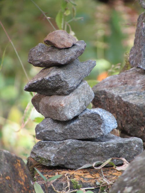 Close-up of Stack of Wood