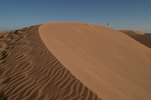 Desert