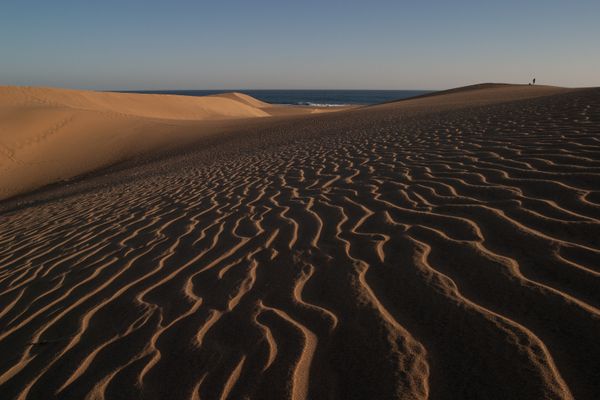 Dunes running down to a still sea — photo by Rene Terp on Pexels