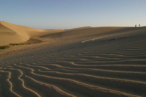 사막 사진