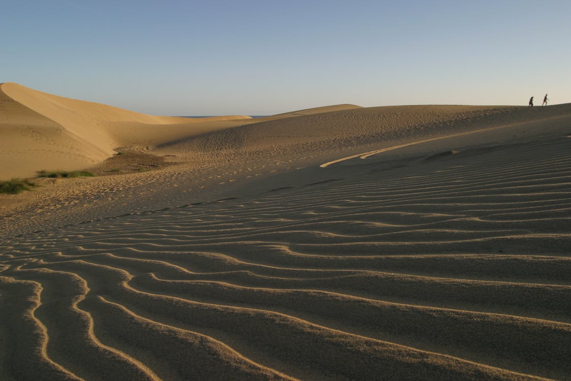 Free Desert Photography Stock Photo