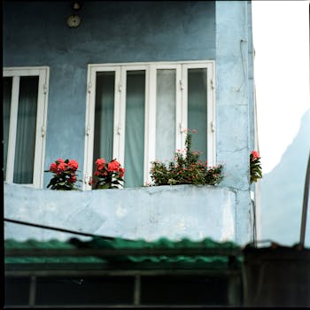 Lovely urban balcony with vibrant flowers against a pastel blue wall.