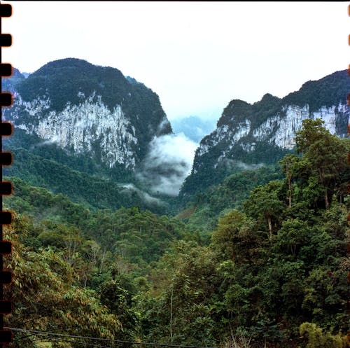 Fotobanka s bezplatnými fotkami na tému cestovať, dažďový prales, exteriéry