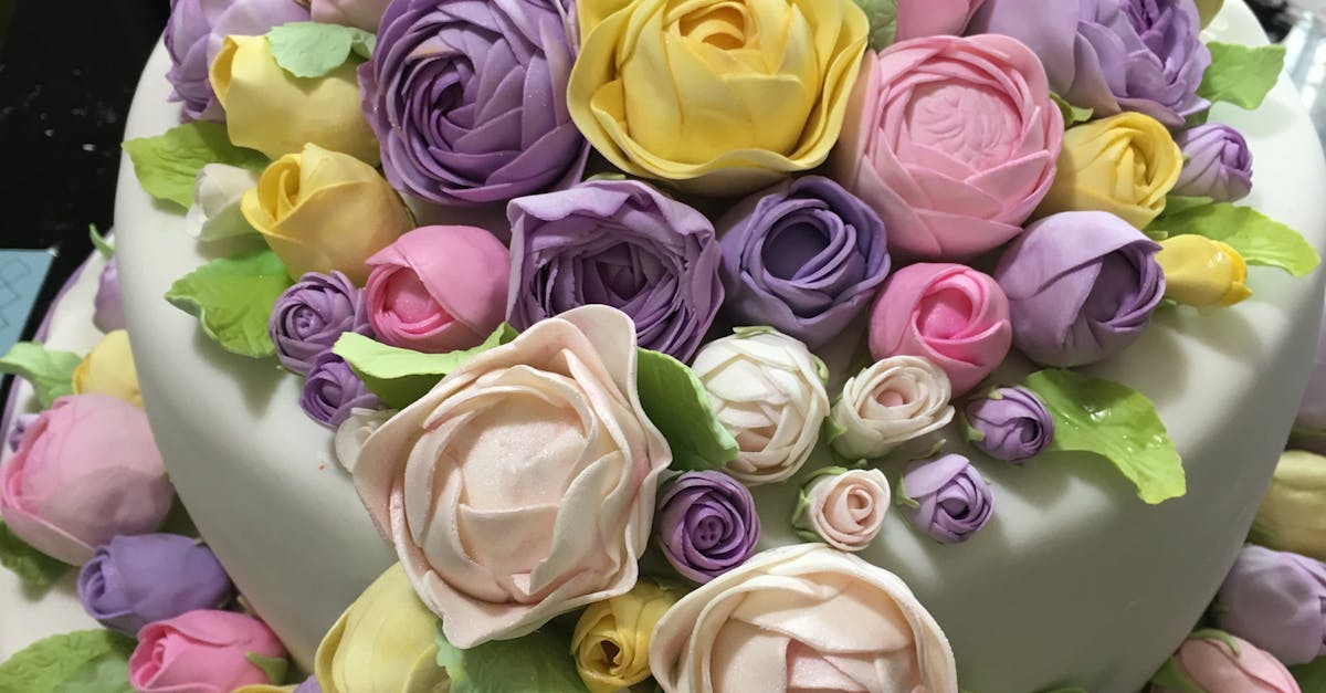 Close-up of Pink Roses