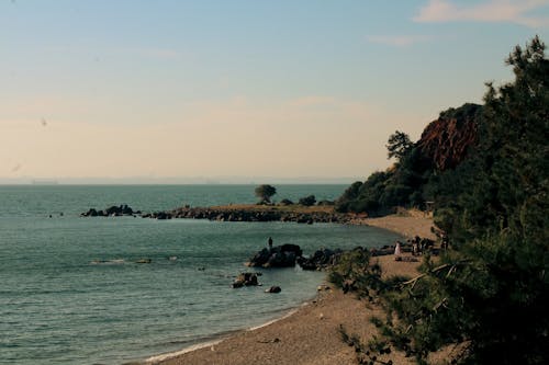 A beach with a rocky shore and trees