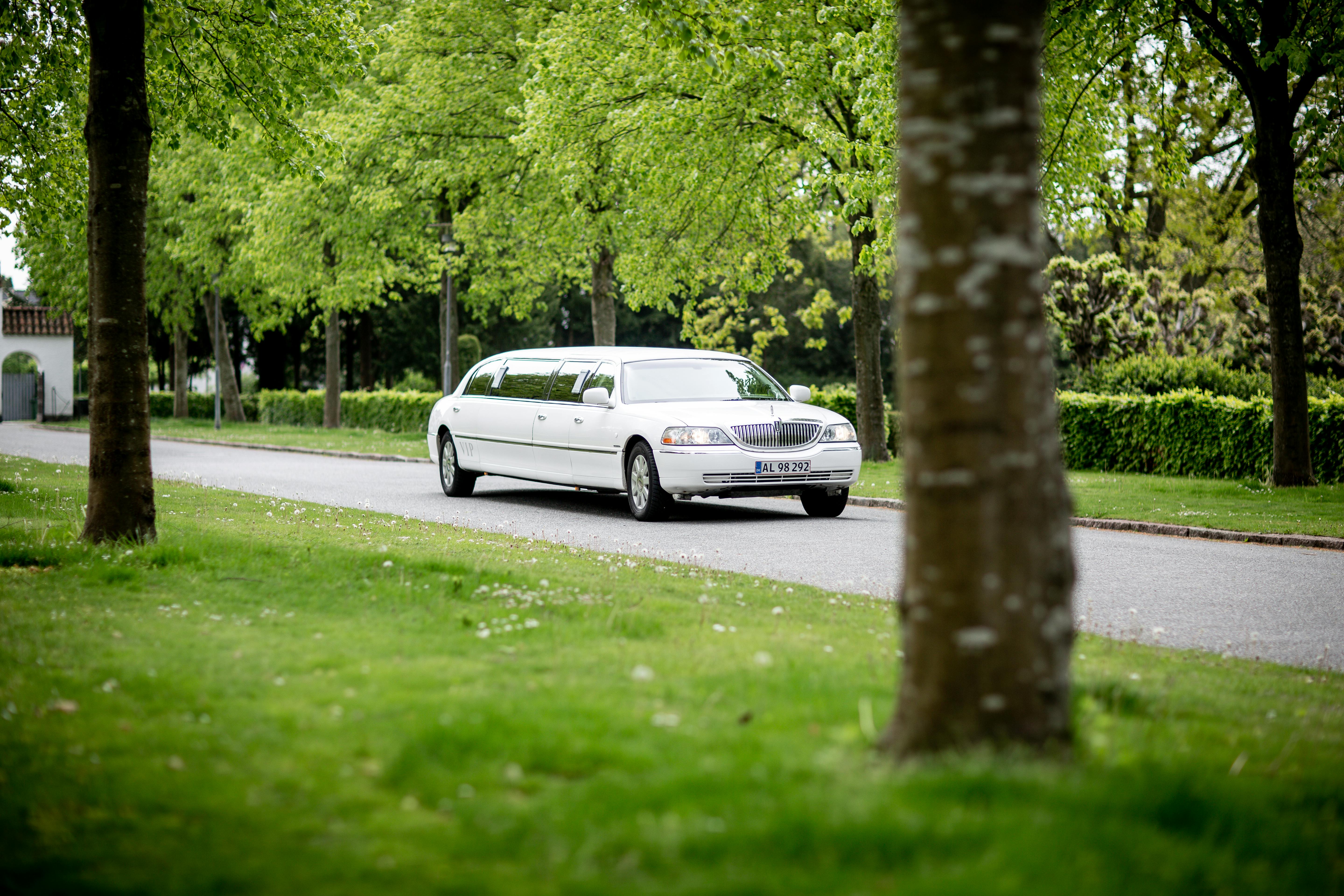 A white limousine. | Photo: Pexels