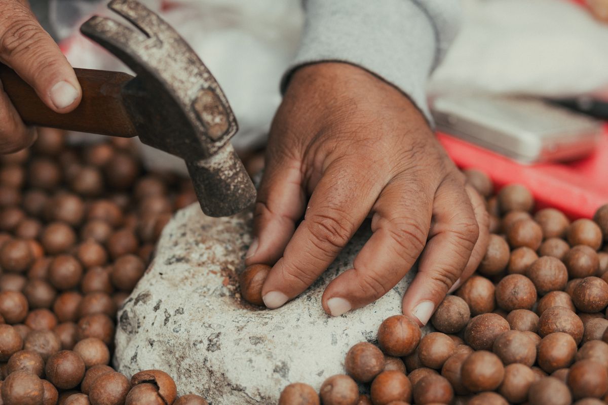Hands cracking nuts with a hammer on a stone, the old way