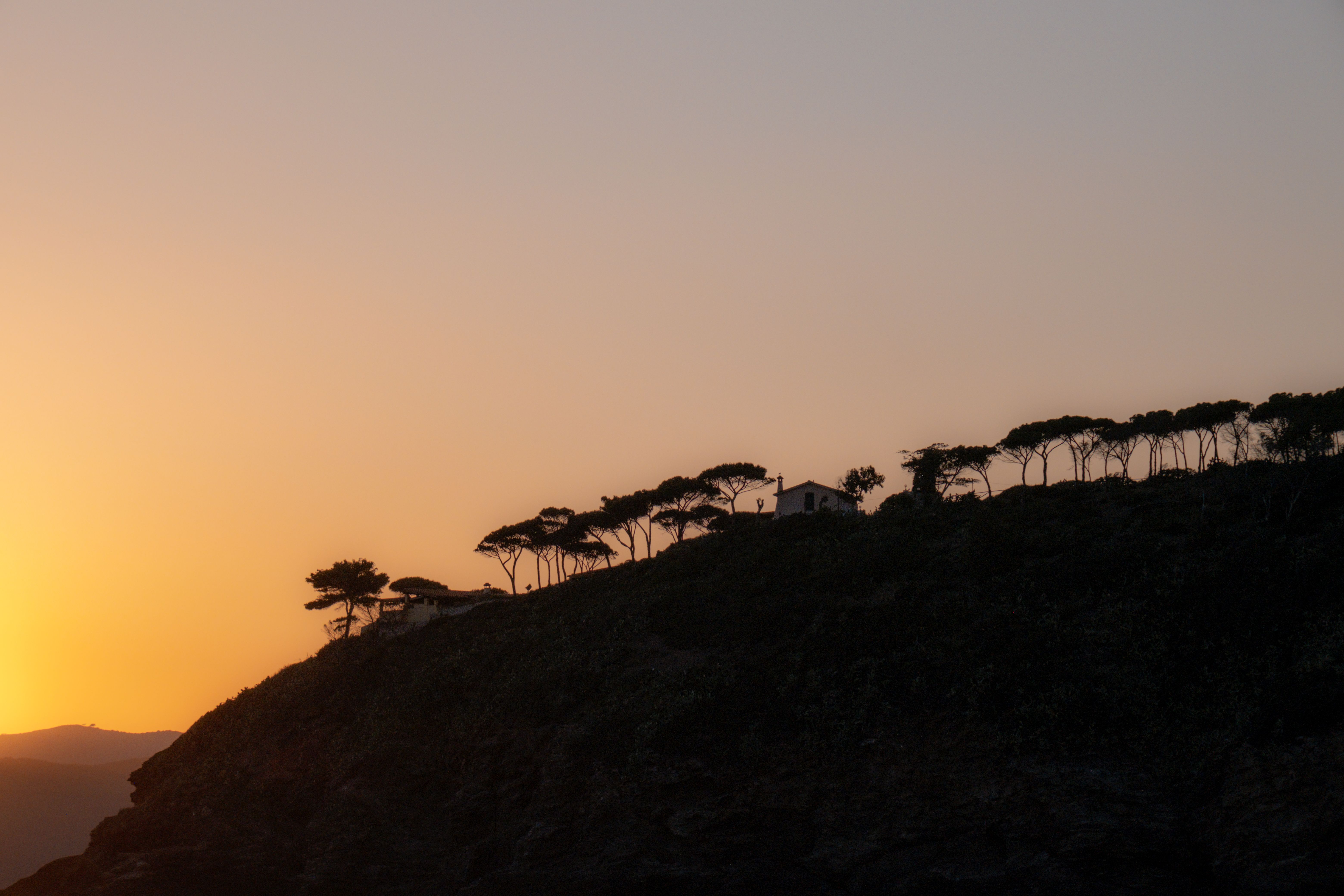 Silhouette of Trees on a Hill During Sunset · Free Stock Photo