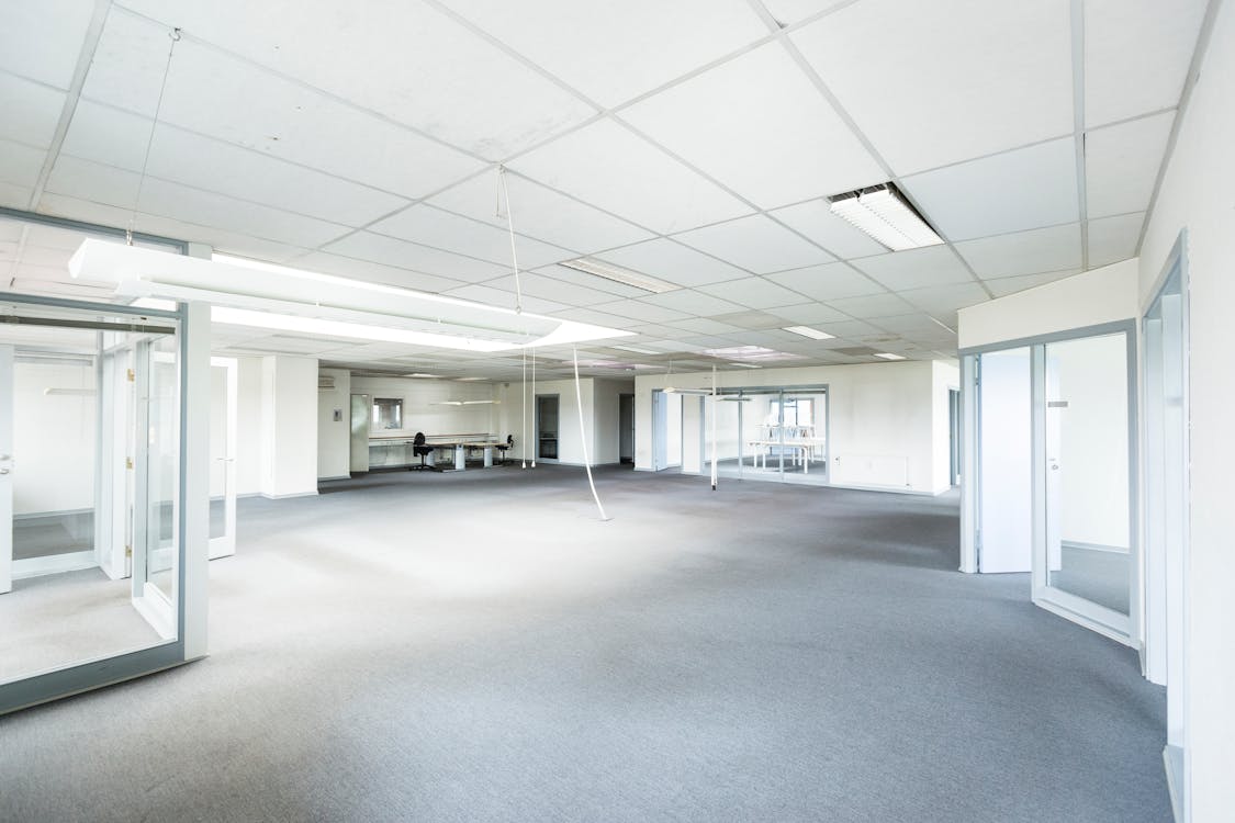 Interior of a Gray and White Room