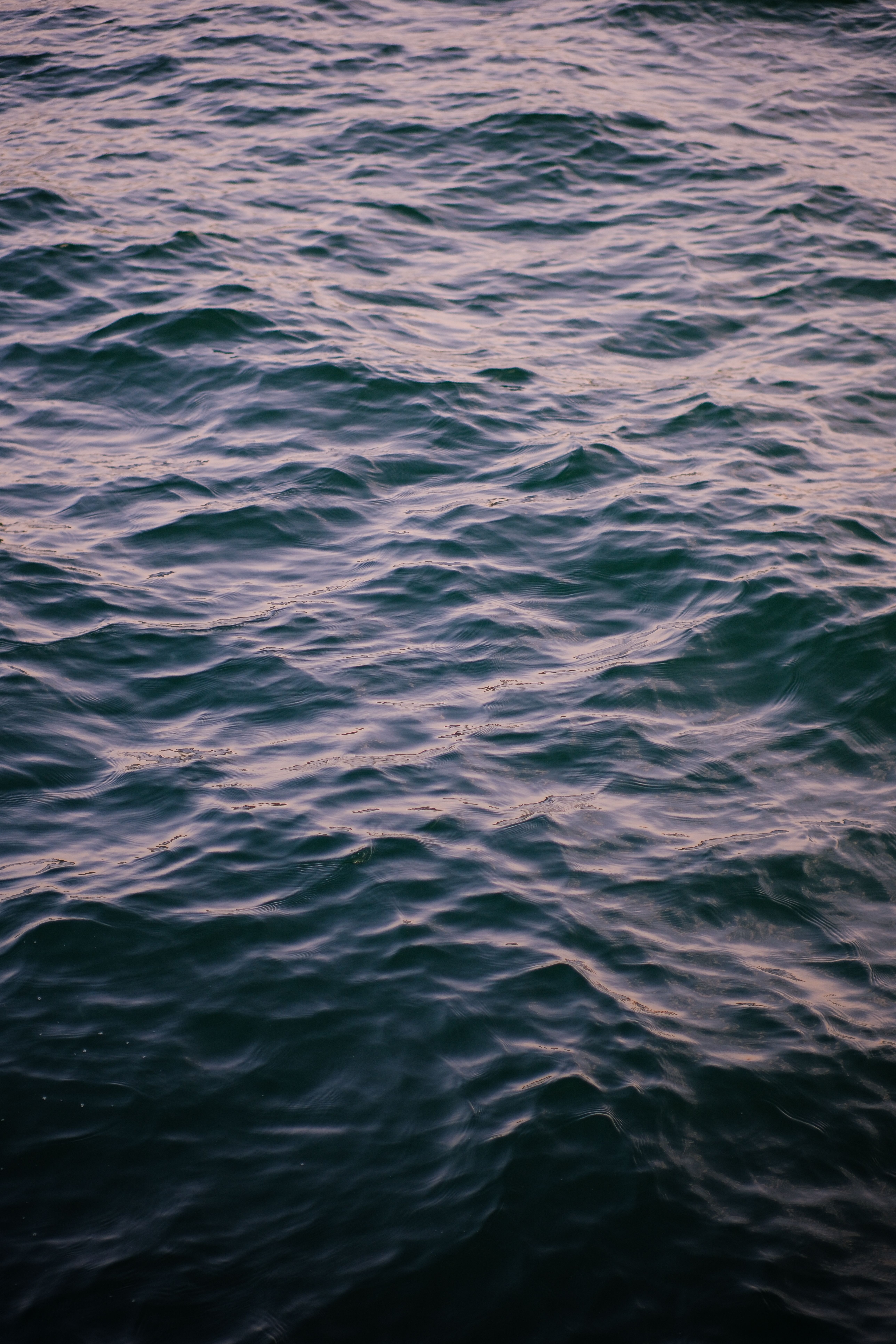 Ripples in Sea · Free Stock Photo