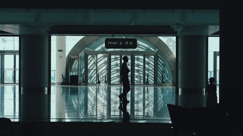 Silhouette of Man in Train Station